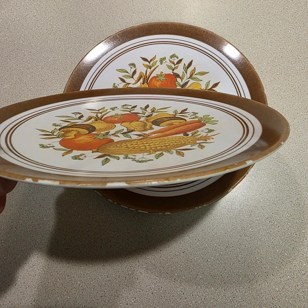 Genuine Melamine Dinner Plates 10
